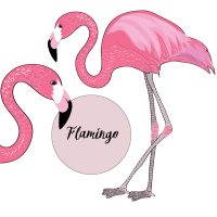 flamingo-isolated-round-text